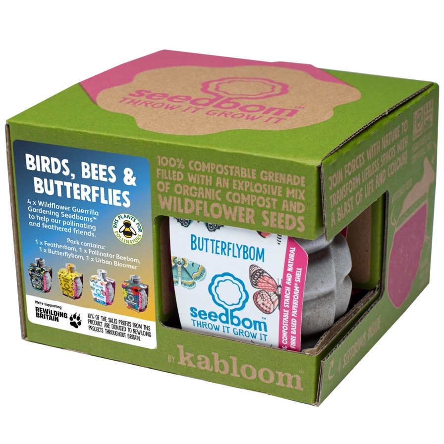 Kabloom Frøbomber gaveæske | Økologiske frøbomber til bier, fugle & sommerfugle | Bæredygtig biodiversitet