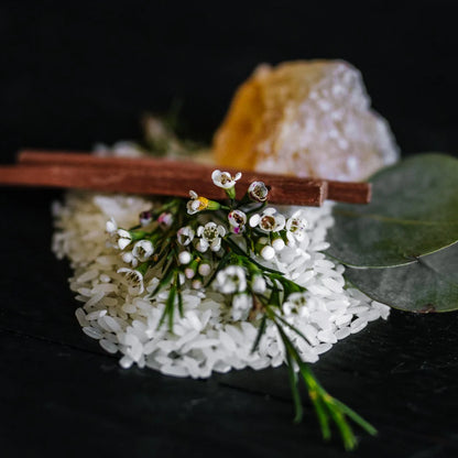 Et luksuriøst hårplejesæt med shampoo, conditioner &amp; bambus box – fyldt med Rice Water og duften Hidden Waterfall for silkeblødt, stærkt og glansfuldt hår.