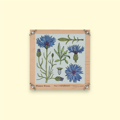 Blomsterpresser 15x15 cm | Bæredygtigt træ