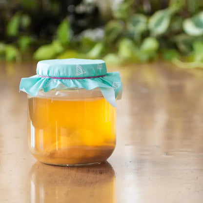 The FarmSteady Guide to Kombucha – Den ultimative kombucha kogebog