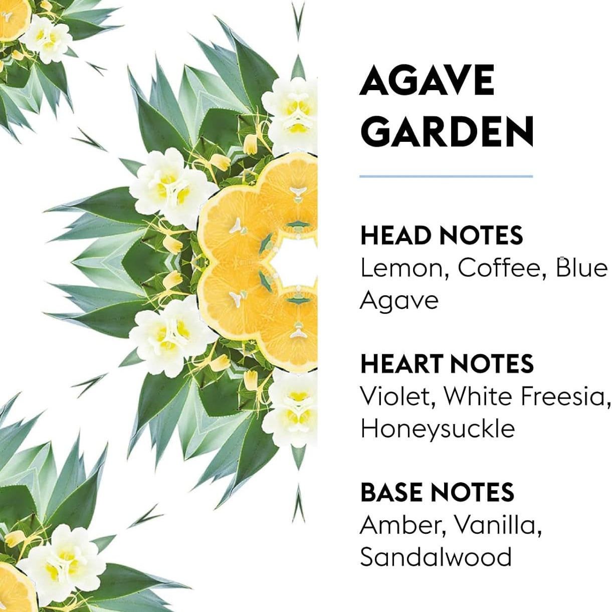 Forvandl dit hjem med den frodige og delikate duft af Agaves Garden. Nyd den perfekte kombination af friskhed, blomstrende elegance og varme træ noter.