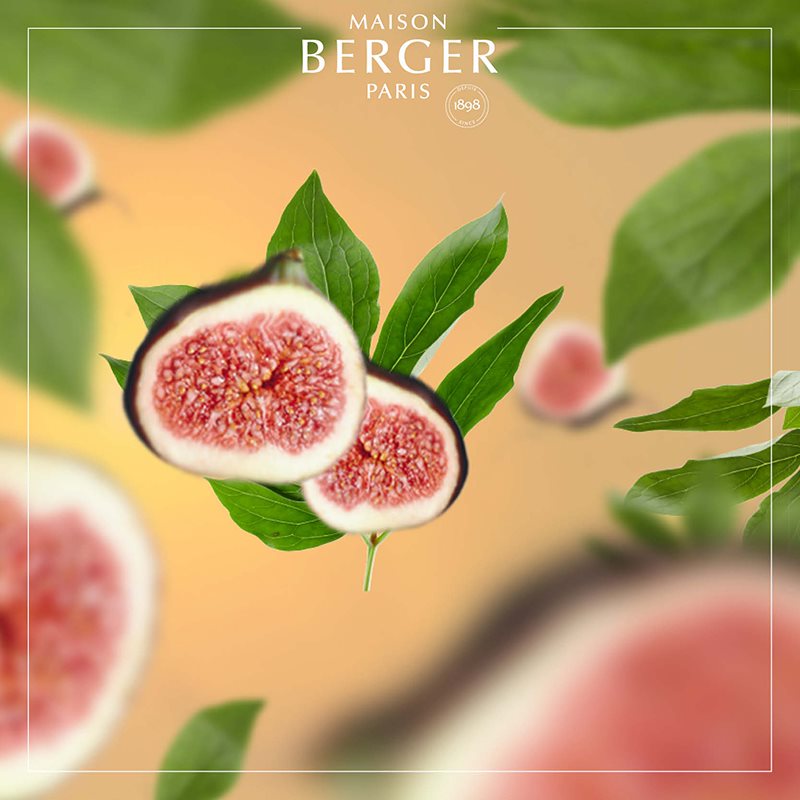 Under the Fig Tree fra Maison Berger – en indbydende og afslappende frugtduft, hvor cremede figner og grøn friskhed skaber ægte feriestemning året rundt.