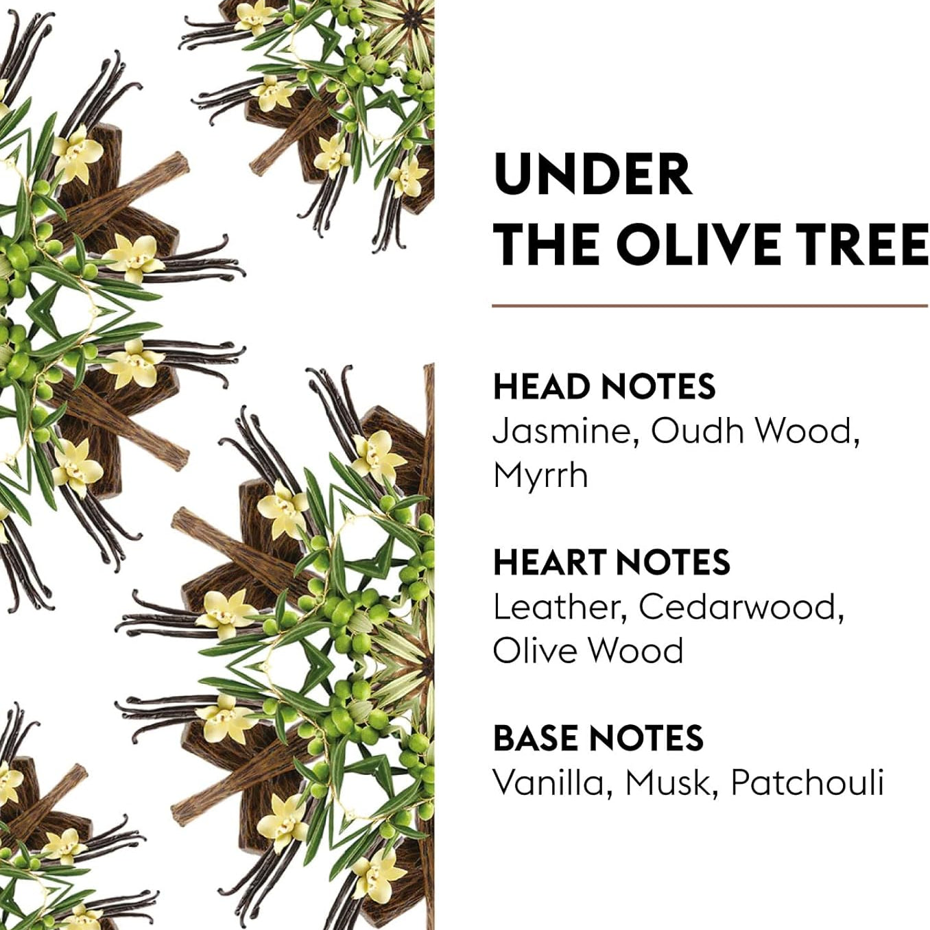 Under the Olive Tree fra Maison Berger Paris – en tidløs og sensuel duft med orientalsk mystik, der forvandler dit hjem til et roligt og luksuriøst fristed.