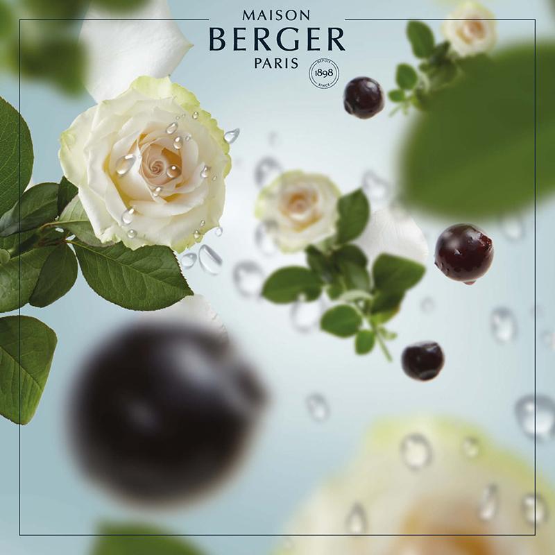 Frisk refill til Maison Berger bildiffuser med Ocean Breeze – en ren og maritim duft, der bringer havets lethed ind i bilen.