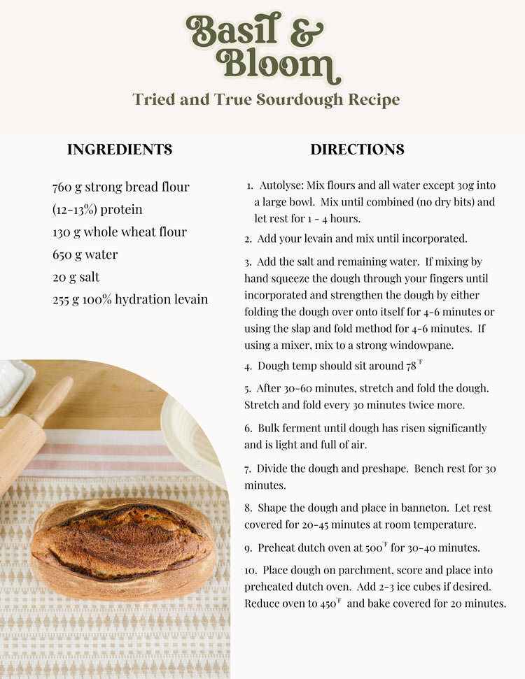 Surdejsstarter - dehydreret &amp; økologisk | Basil &amp; Bloom Foodtruck