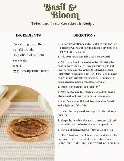 Surdejsstarter - dehydreret &amp; økologisk | Basil &amp; Bloom Foodtruck