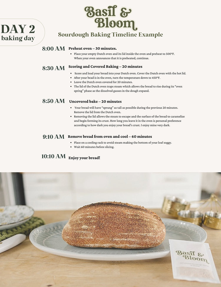 Surdejsstarter - dehydreret &amp; økologisk | Basil &amp; Bloom Foodtruck