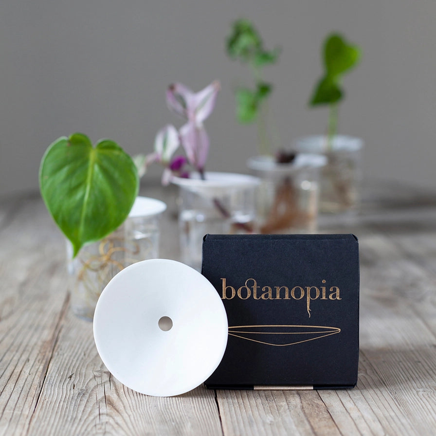 Botanopia Porcelæn spireskål – Elegant og enkel planteformering