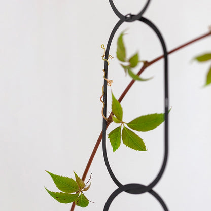 Plantestøtte til klatreplanter - Golden Brass &amp; Black
