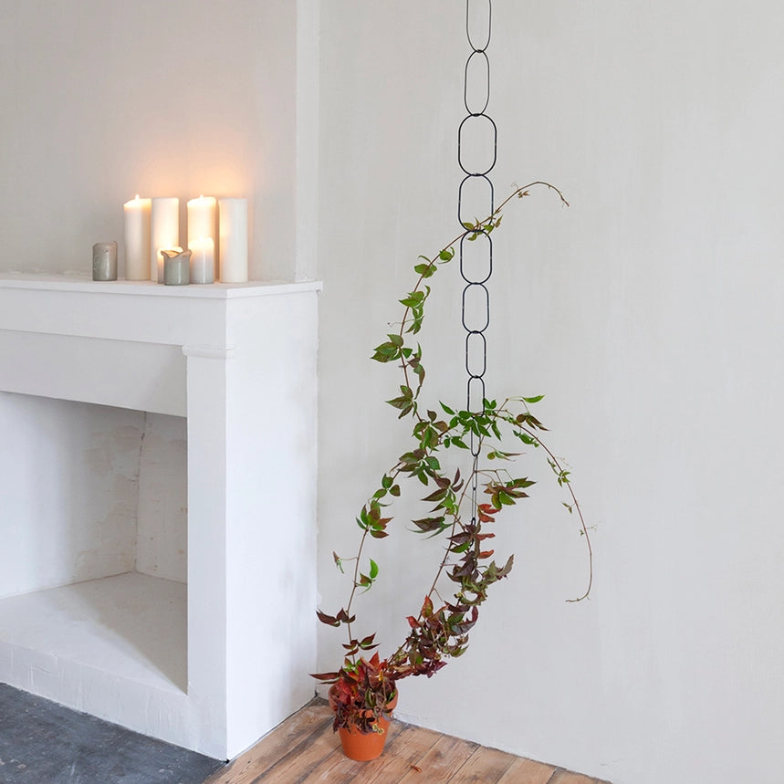 Plantestøtte til klatreplanter - Golden Brass &amp; Black