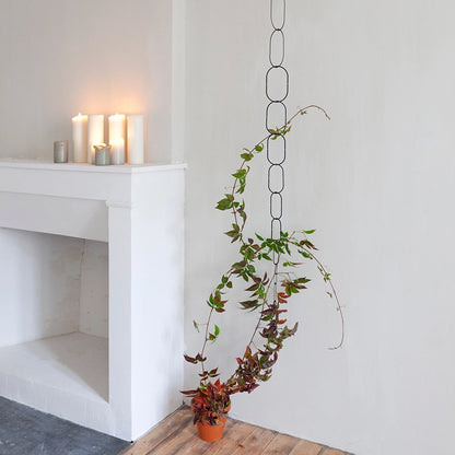 Plantestøtte til klatreplanter - Golden Brass &amp; Black