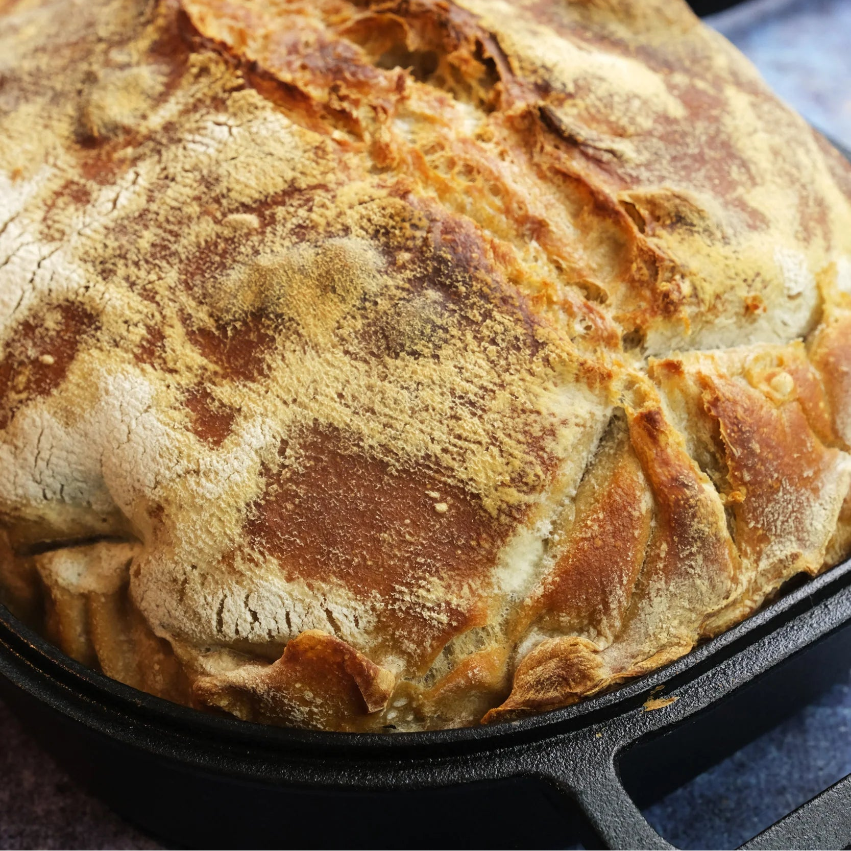 Ekstra stor støbejerns Bread Pan med låg til surdejsbrød, steam baking og sprød artisan skorpe.