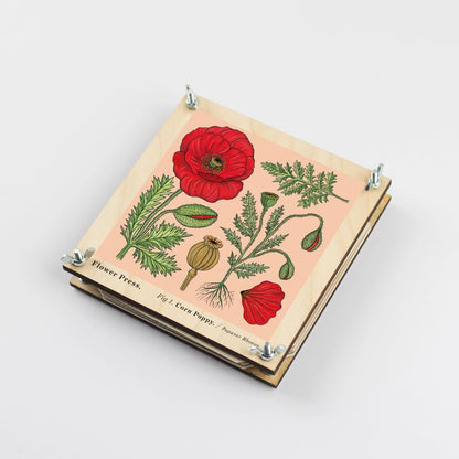 Håndsamlet blomsterpresser fra Studio Wald i bæredygtigt træ. Pres blomster og blade til kort, billeder og kreative projekter.