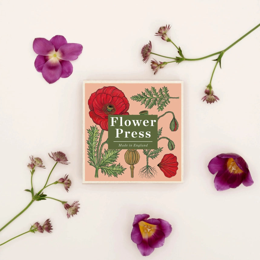 Håndsamlet blomsterpresser fra Studio Wald i bæredygtigt træ. Pres blomster og blade til kort, billeder og kreative projekter.