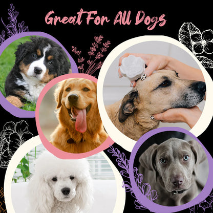 Viori Pet Shampoo Bar – Rice Water til hund &amp; kat i Cherry Blossom + Lavendel &amp; Jasmin