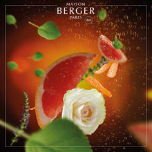Lampe Berger - Olympe Duftlampe, Grey m. Exquisite Sparkle - Krydret duft - Maison Berger