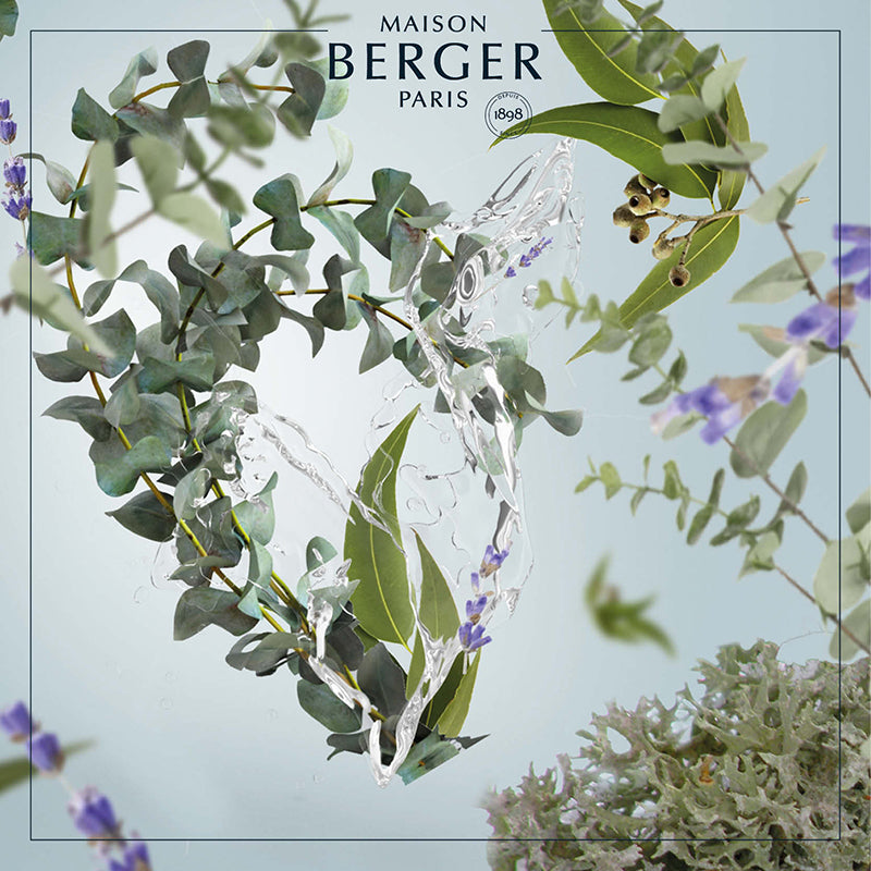 Fresh Eucalyptus - Lampe Berger Refill - Frisk duft - Maison Berger