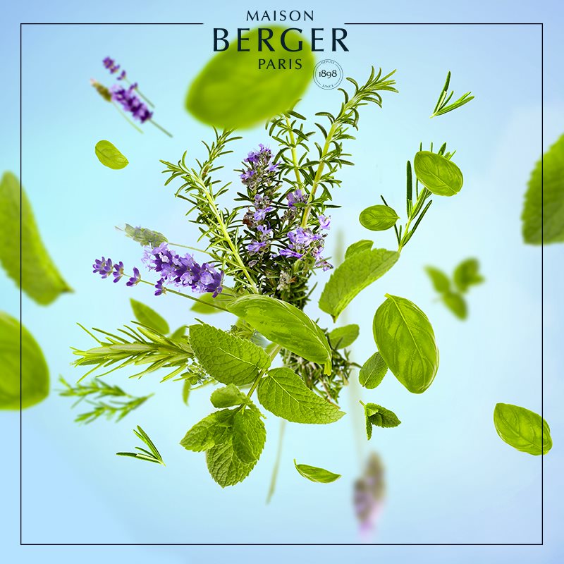 Focus Aromaterapi - Lampe Berger Refill - Ren duft - Maison Berger