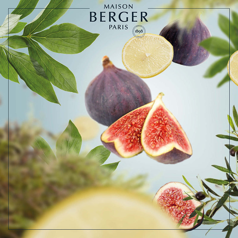 Gardens on the Riviera - Lampe Berger Refill - Frisk duft - Maison Berger