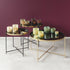 Hyacintglas & Fyrfadsstage - Recycled Glas - Aubergine