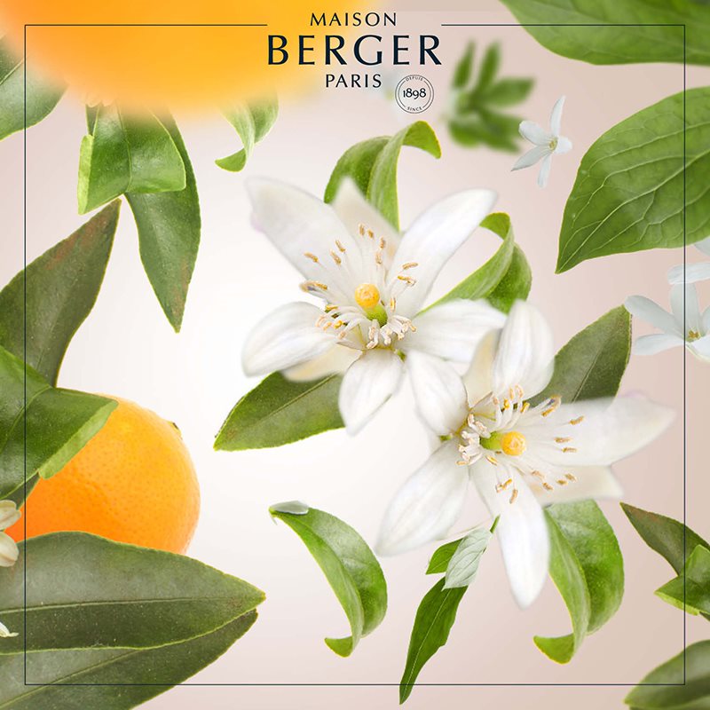 Orange Blossom fra Maison Berger Paris er en klassisk og elegant blomsterduft, der fylder dit hjem med ro, varme og sommerlig lethed.