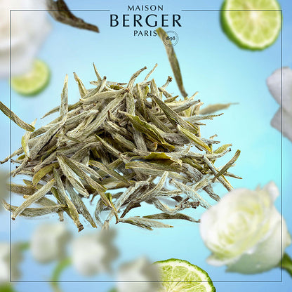 Pure White Tea fra Maison Berger – en subtil og sofistikeret duft, hvor hvid te og bløde blomster skaber en beroligende, ren atmosfære.