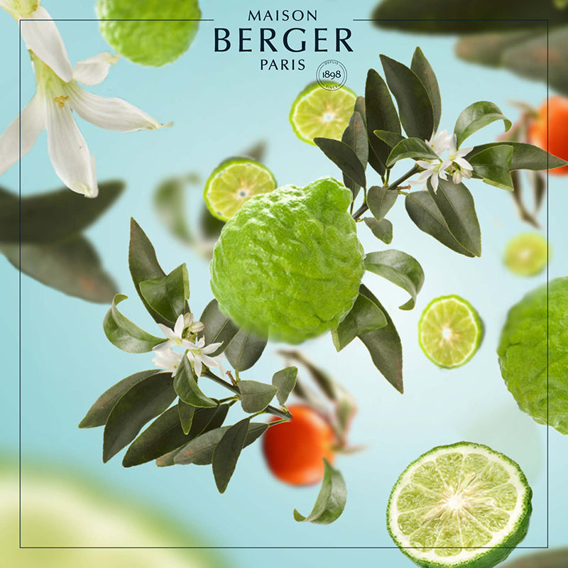 Radiant Bergamot fra Maison Berger Paris – en lys og opkvikkende duft, hvor saftige citrusfrugter og bløde blomster skaber ren livsglæde i hjemmet.