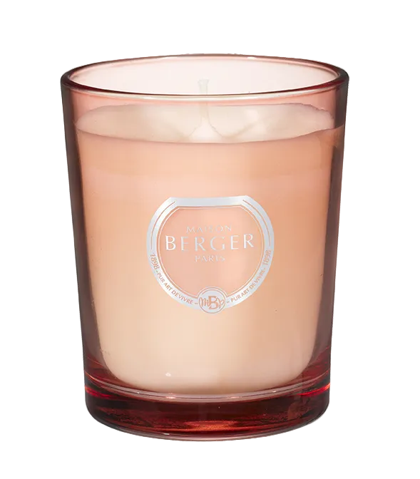 Maison Berger Paris Tonic Lemon Duftlys – en sprudlende og forfriskende citrusduft med varme trænoter, der bringer sommerens lethed og energi ind i hjemmet