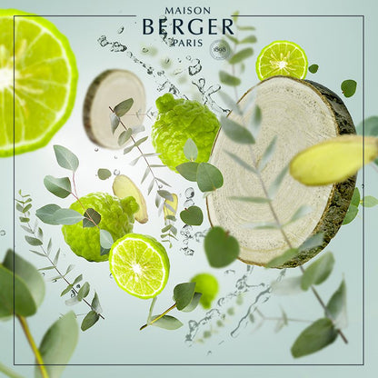 Frisk og opkvikkende duft af Aroma Wake-up fra Maison Berger Paris.
