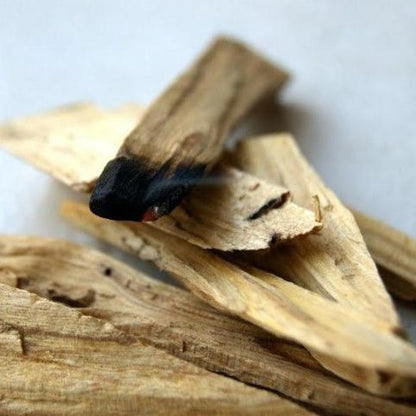 Palo Santo bundt - Helligt Træ til Smugde røgelse - Bundt m. 3 stk.
