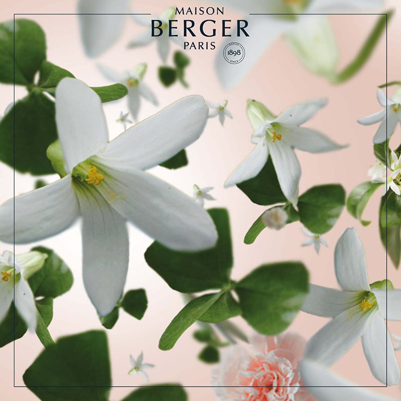Precious Jasmine - Lampe Berger Refill - Blomster duft - Maison Berger