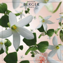 Precious Jasmine - Duftlys, Clarity 180g - Blomster duft - Maison Berger