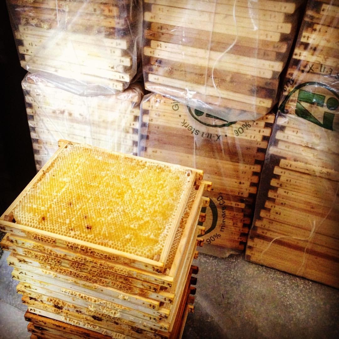 Fyrfadslys af bivoks m. glas - Bistad