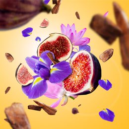 Sweet Fig - Duftlys, Amphora 180g - Krydret duft - Maison Berger