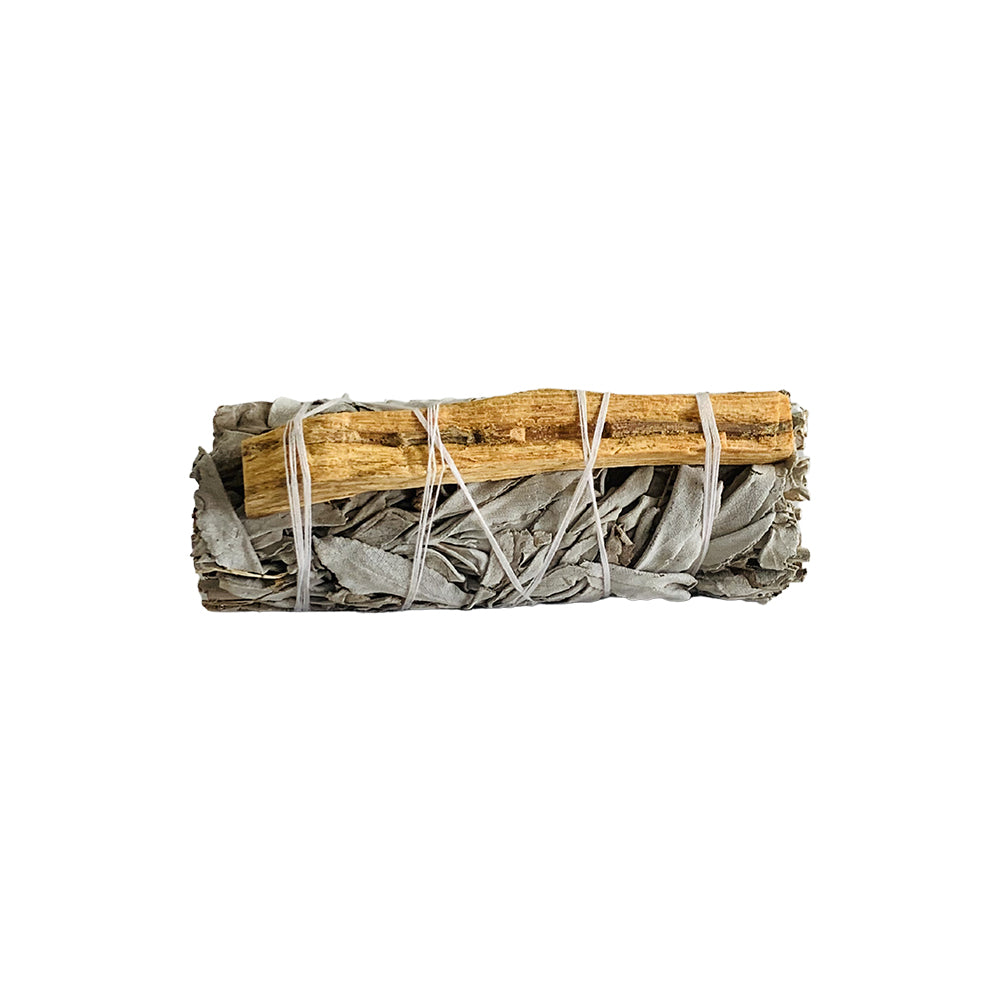 Rense kit - Abelone muslingeskal &amp; Salvie/Palo Santo bundt - 10-12 cm