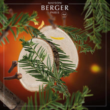 Virginia Cedarwood - Lampe Berger Refill - Krydret duft - Maison Berger