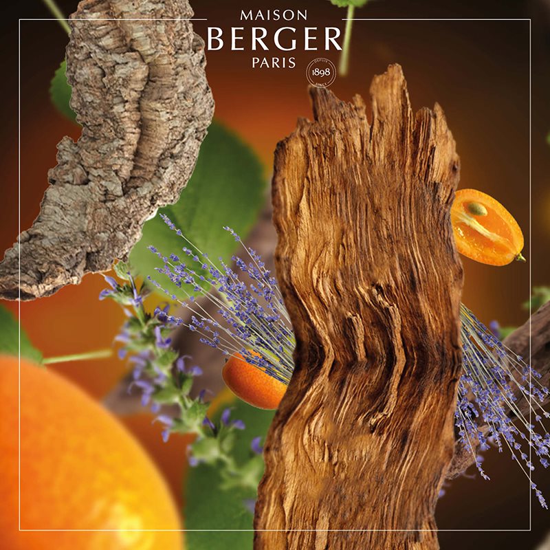 Wild Wood - Lampe Berger Refill - Krydret duft - Maison Berger