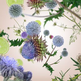 Wild Flower Duftpinde Refill - Blomster duft - Maison Berger
