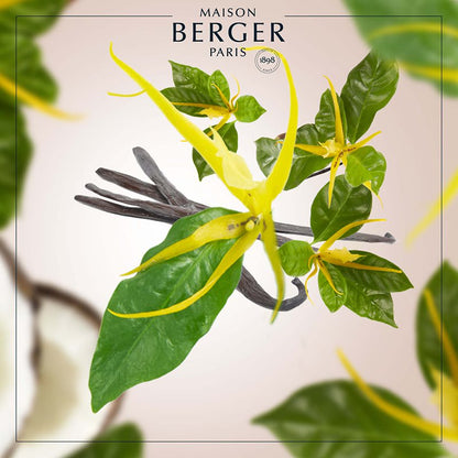 Ylang`s Sun Duftpinde Refill - Blomster duft - Maison Berger