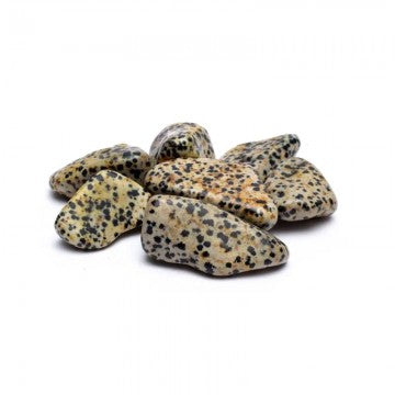 Dalmatiner Krystal - Polerede Tromlesten