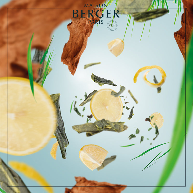 Imperial Green Tea - Lampe Berger Refill - Frisk duft - Maison Berger