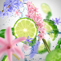 Home - free from musty Odours - Duftpinde Refill - Maison Berger