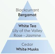 Pure White Tea - Lampe Berger Refill - Ren duft - Maison Berger